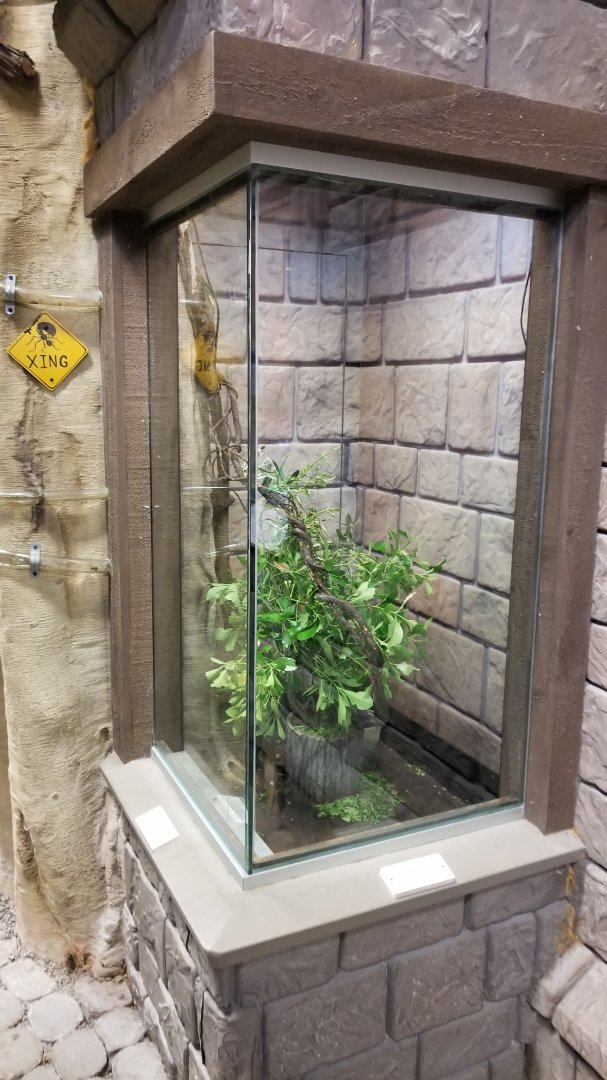 LI Aquarium, Butterfly exhibit - Rainforest leafcutter ants