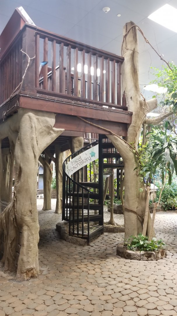 LI Aquarium, Butterfly exhibit - Staircase to upstairs viewing