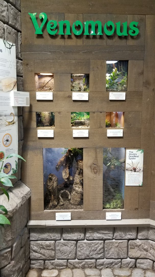 LI Aquarium, Butterfly exhibit - Venomous wall