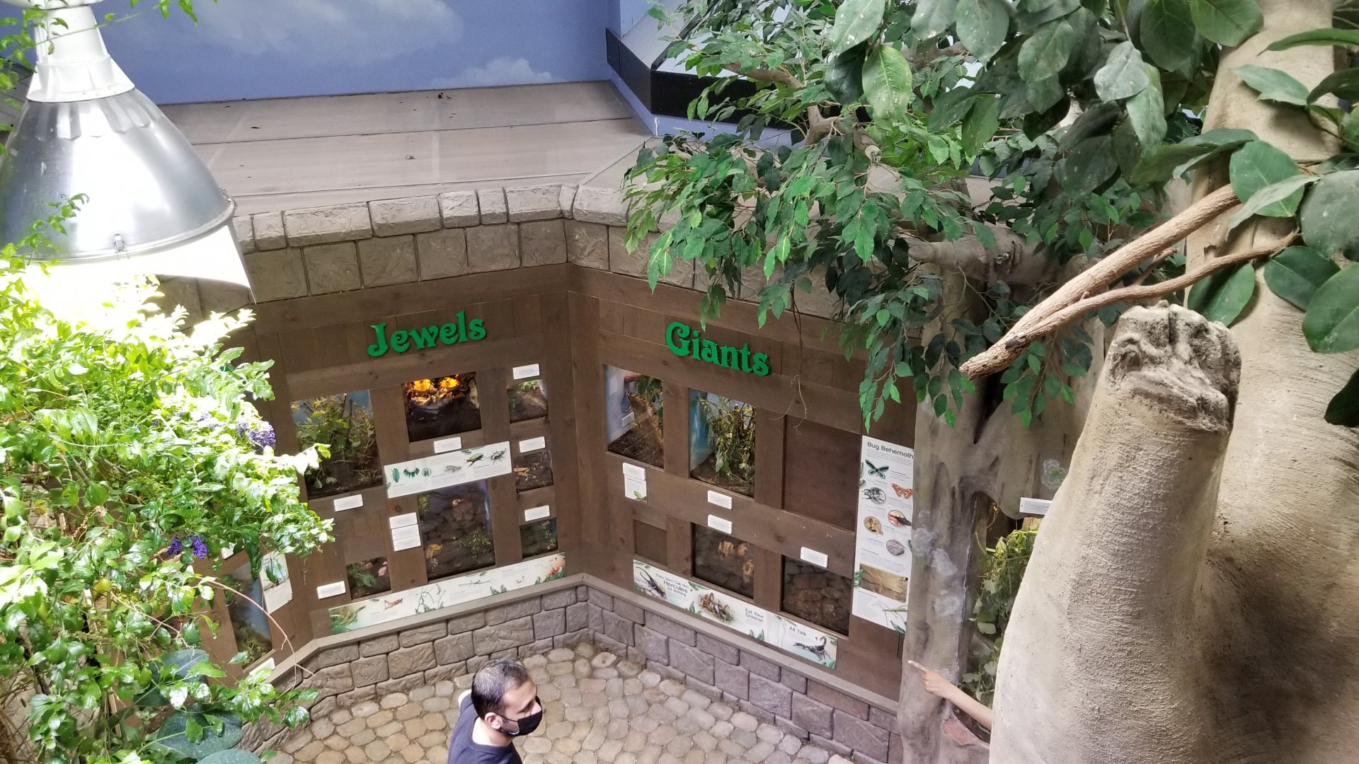 LI Aquarium, Butterfly exhibit - View from upstairs