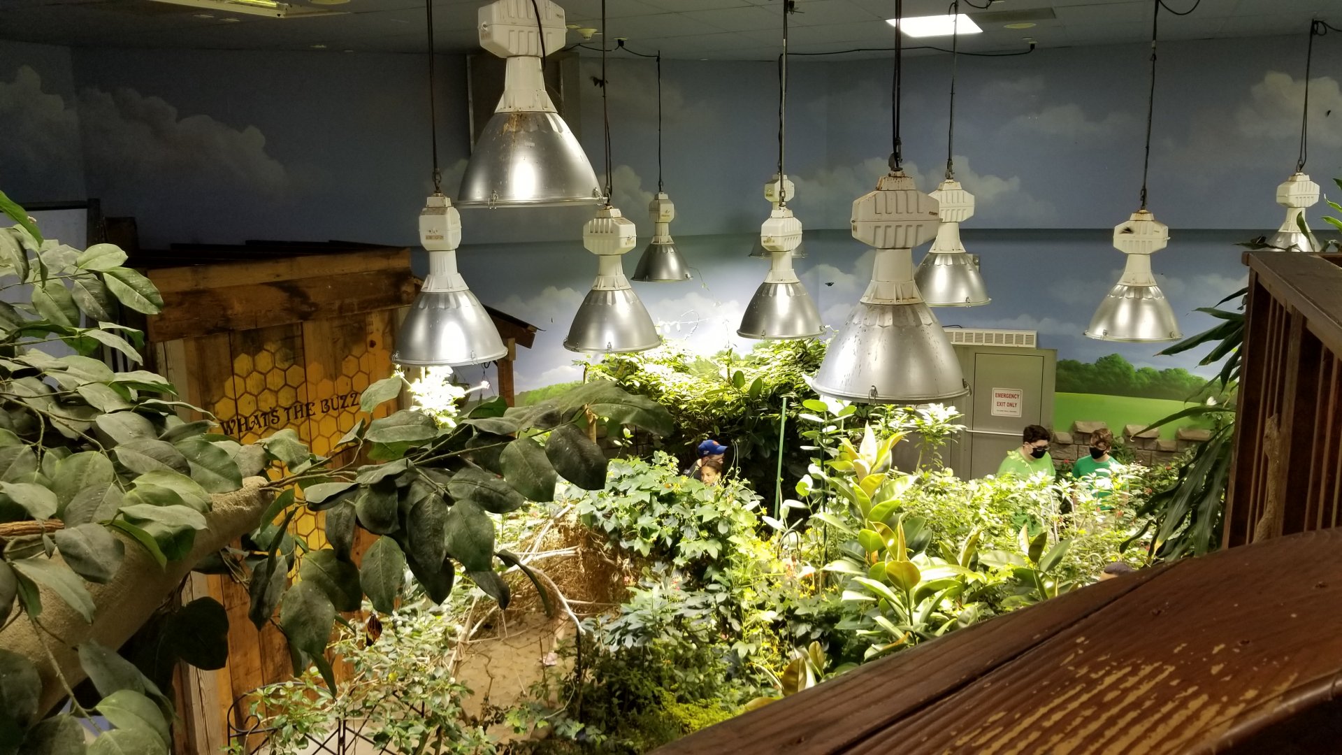 LI Aquarium, Butterfly exhibit - View from upstairs