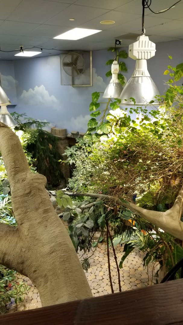 LI Aquarium, Butterfly exhibit - View from upstairs