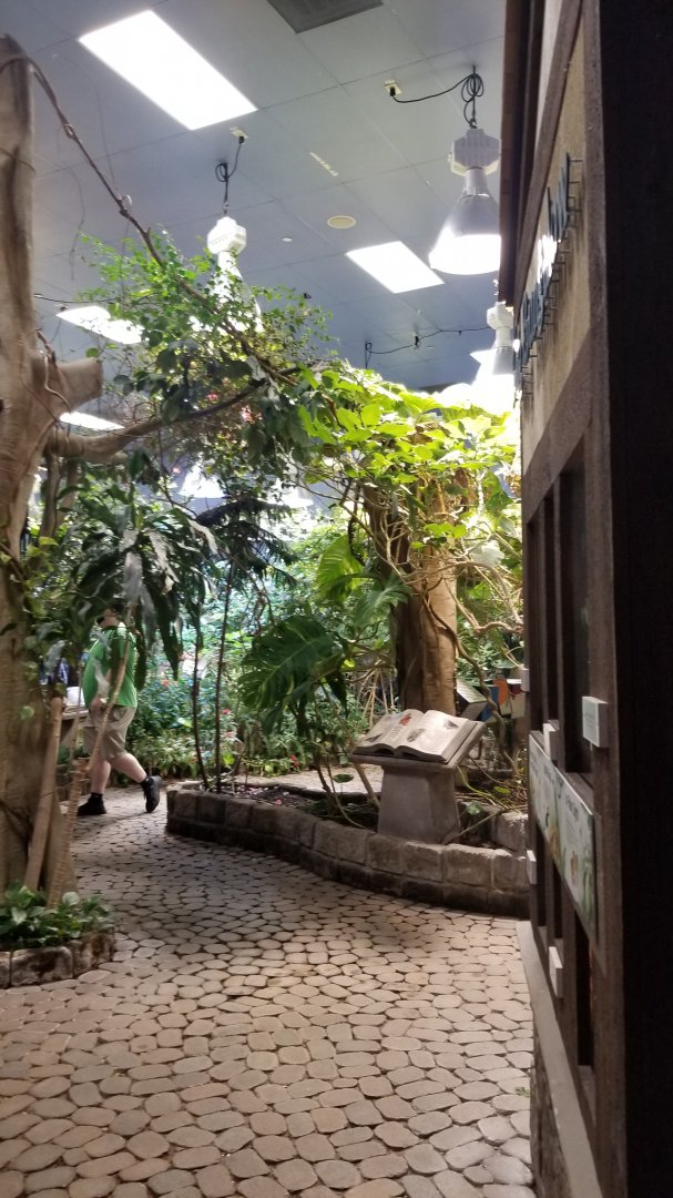 LI Aquarium, Butterfly exhibit