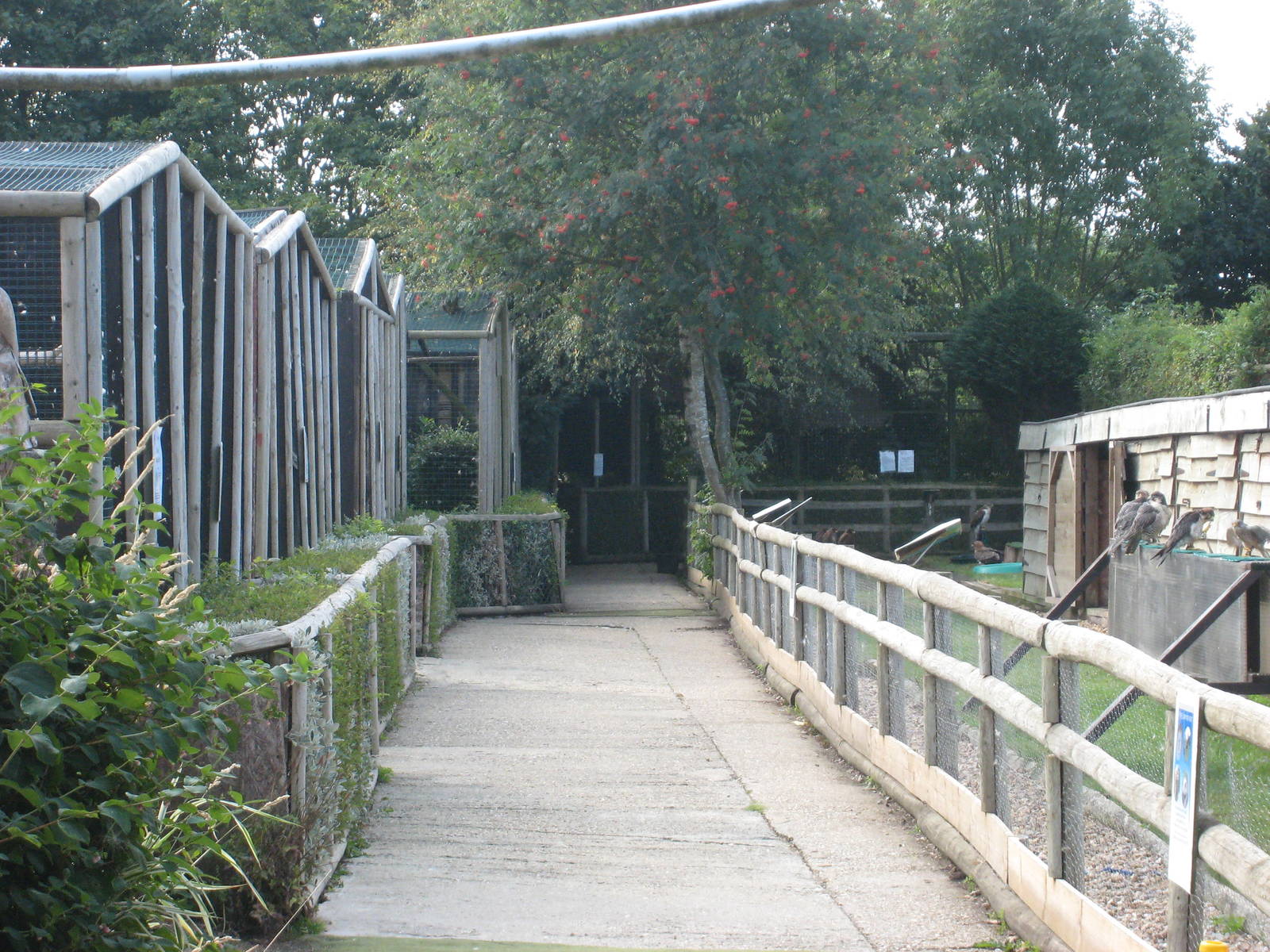 Liberty`s  Owl, Raptor and Reptile Centre.