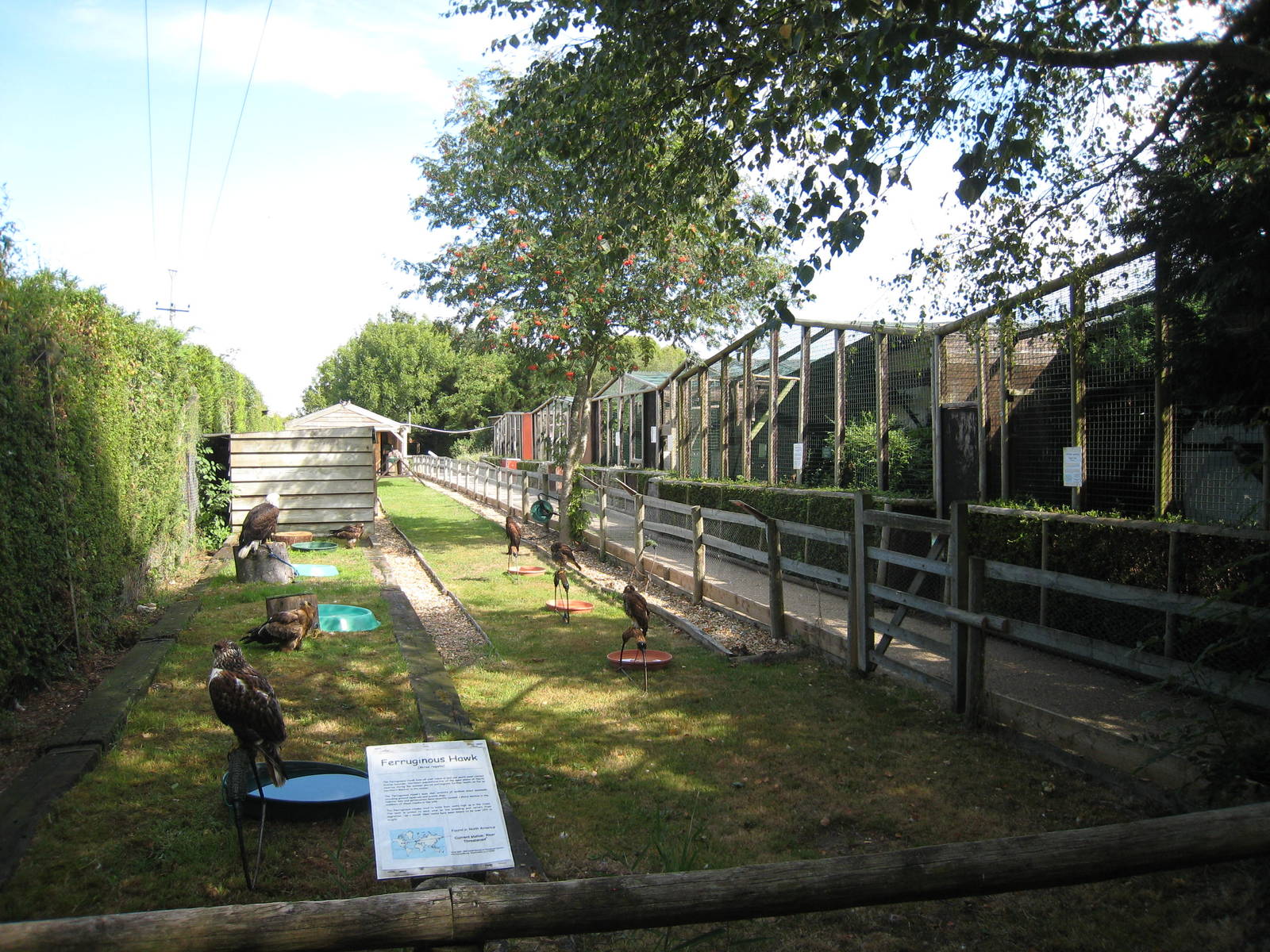 Liberty`s Owl, Raptor and Reptile Centre.