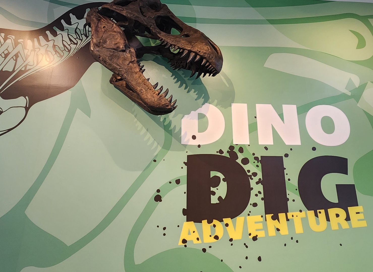 Liberty Science Center (2023) - Dino Dig Adventure