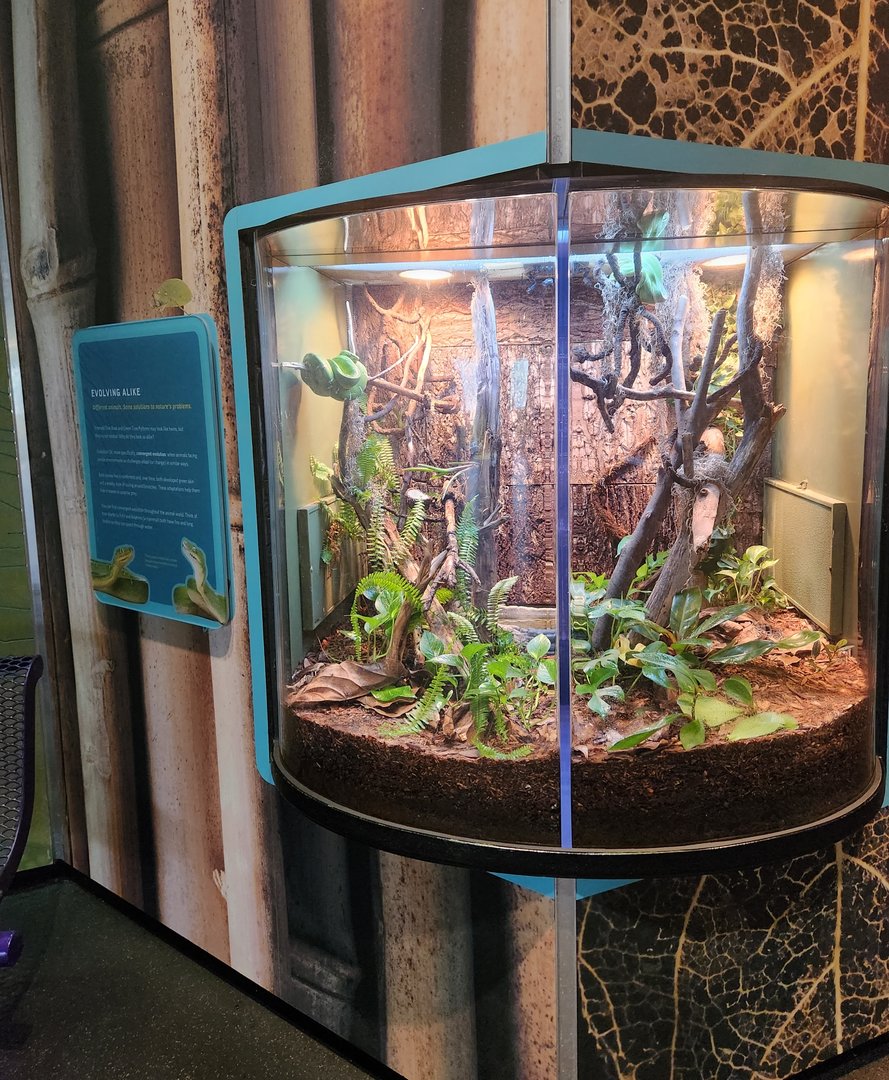 Liberty Science Center (2023) - "Evolving Alike"