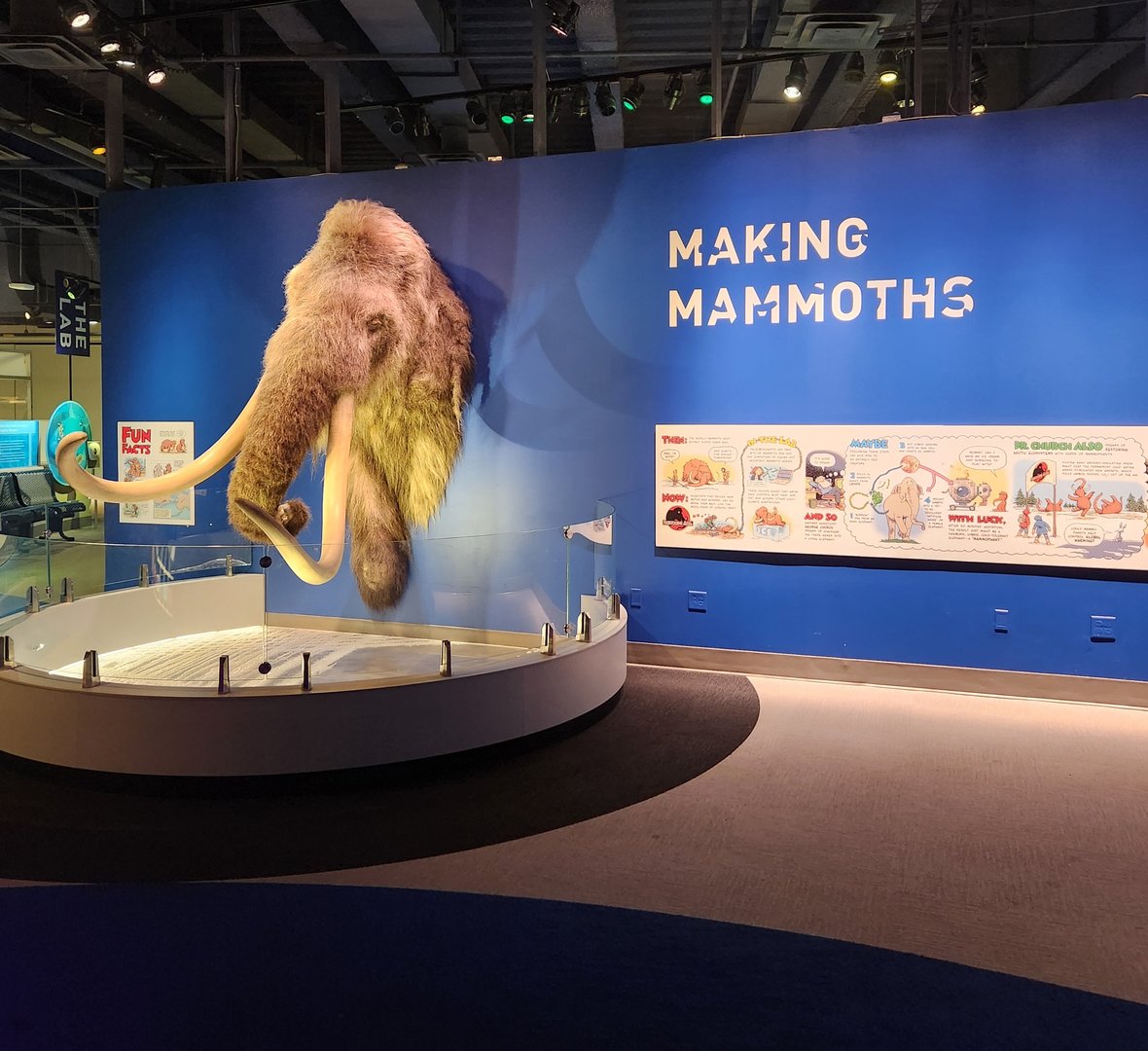 Liberty Science Center (2023) - Making Mammoths