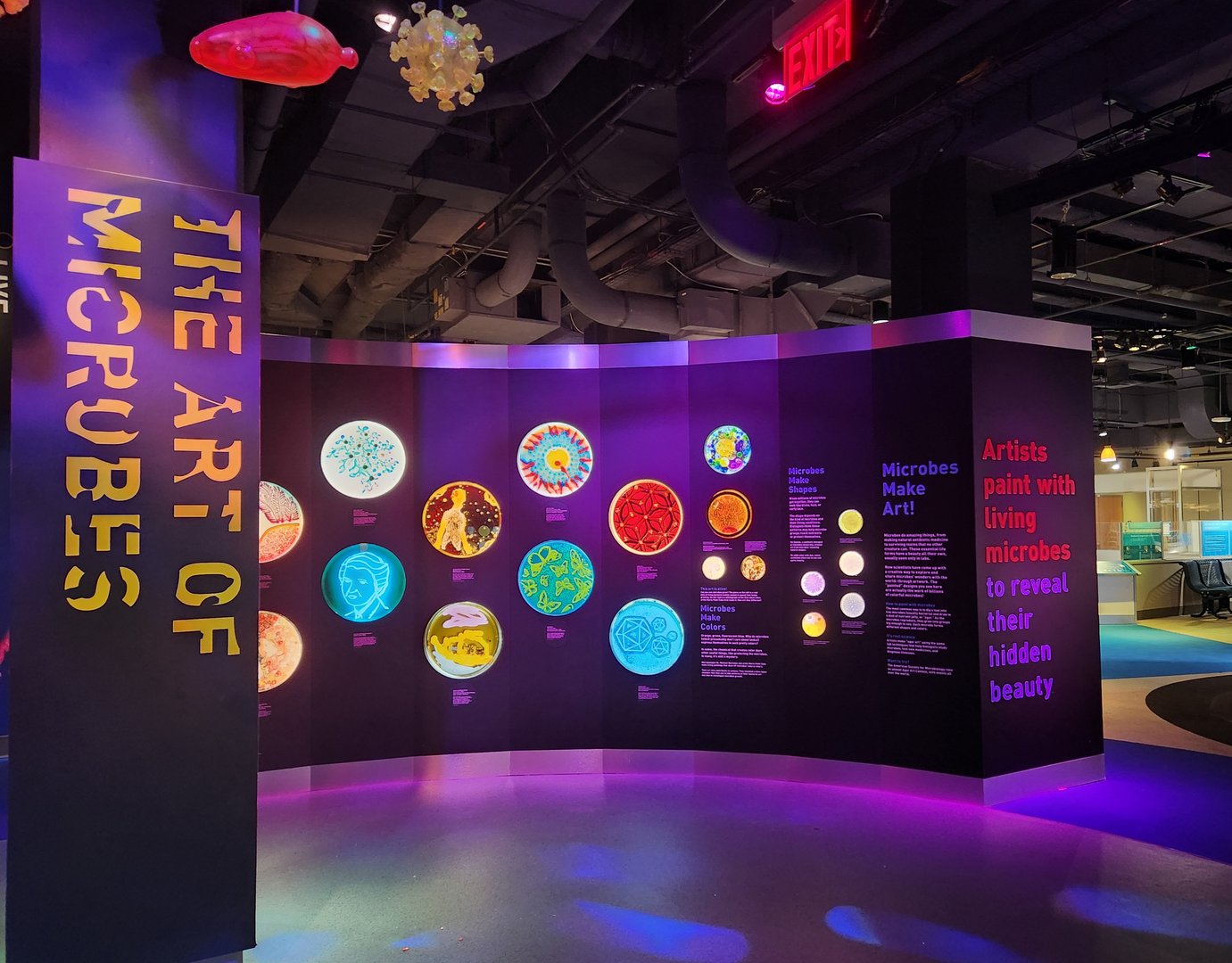 Liberty Science Center (2023) - Microbes make art