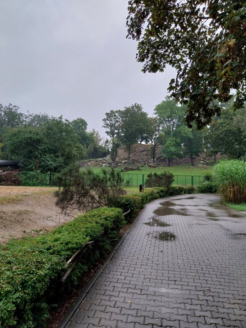 Libian arui enclosure