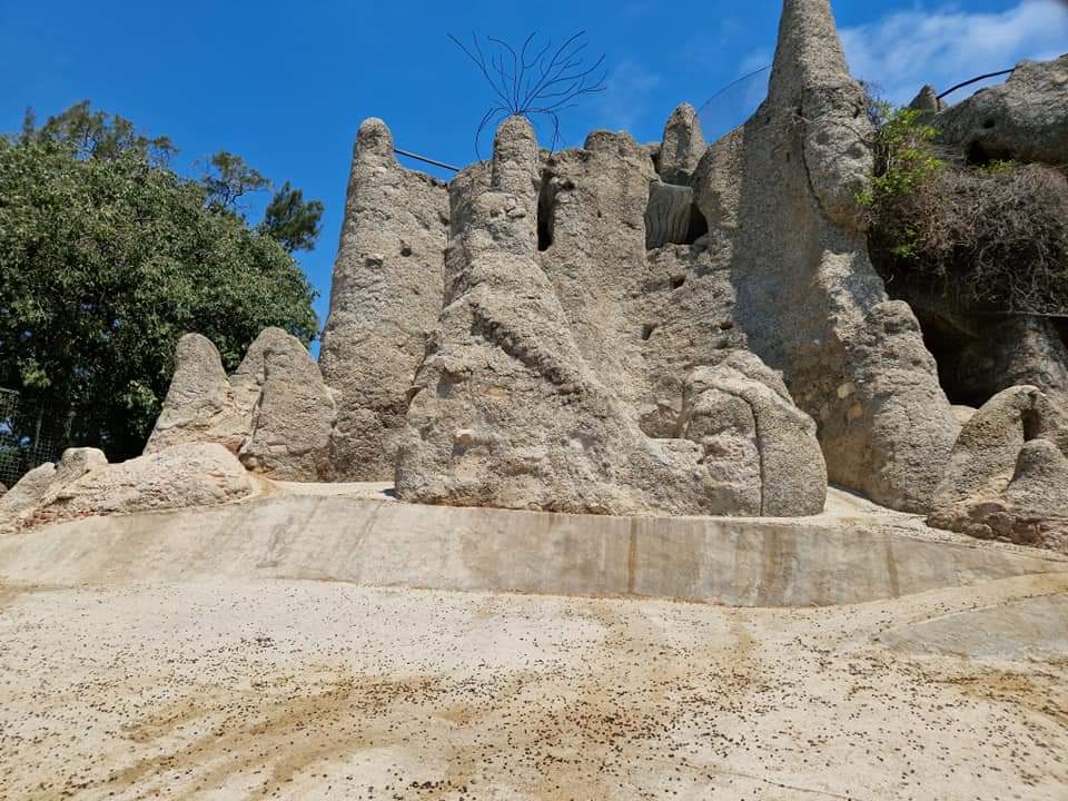 Libyan Barbary sheep rock
