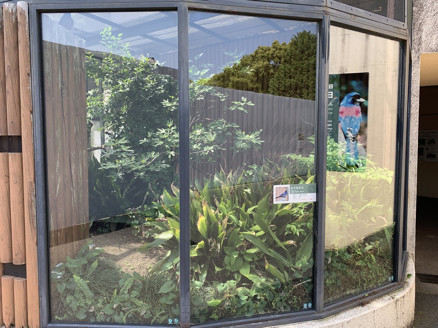 Lidth’s Jay Exhibit