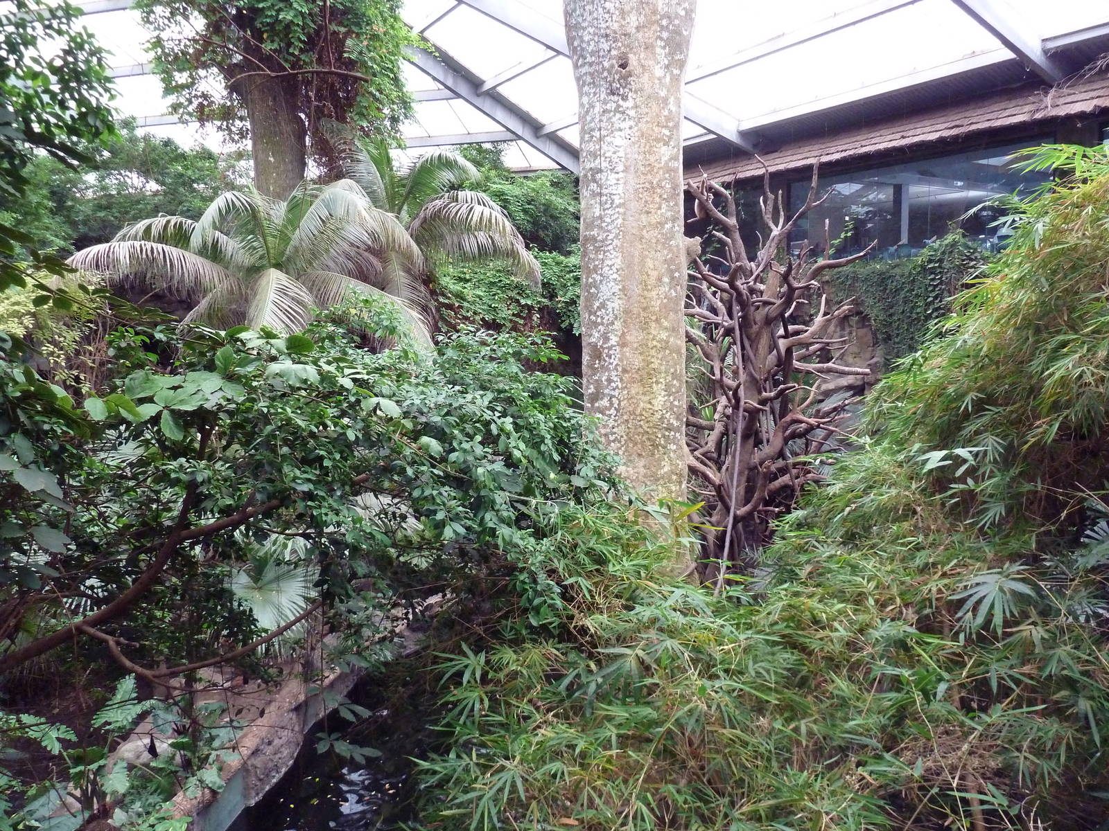 Lied Jungle - America's #1 Rainforest Complex!