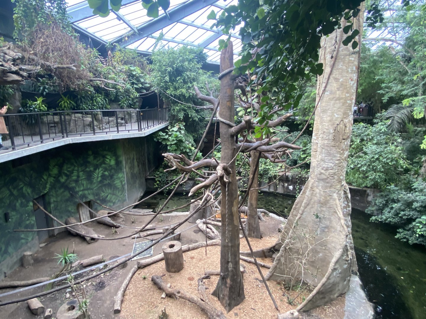 Lied Jungle - Black Howler Monkey Exhibit