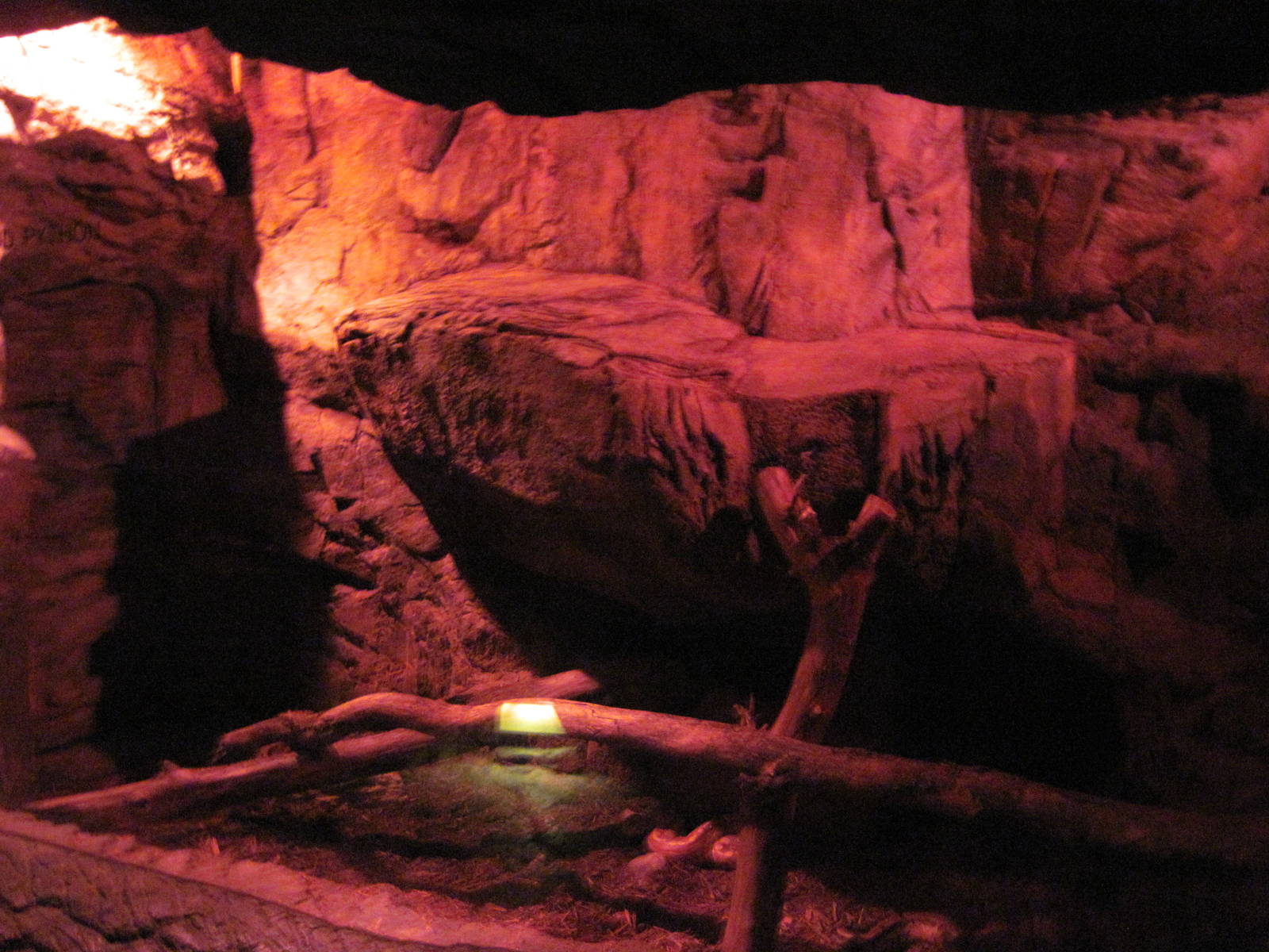 Lied Jungle-Blood Python Exhibit