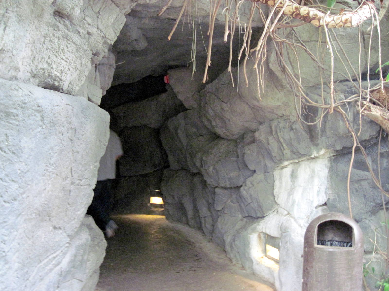Lied Jungle-Cave