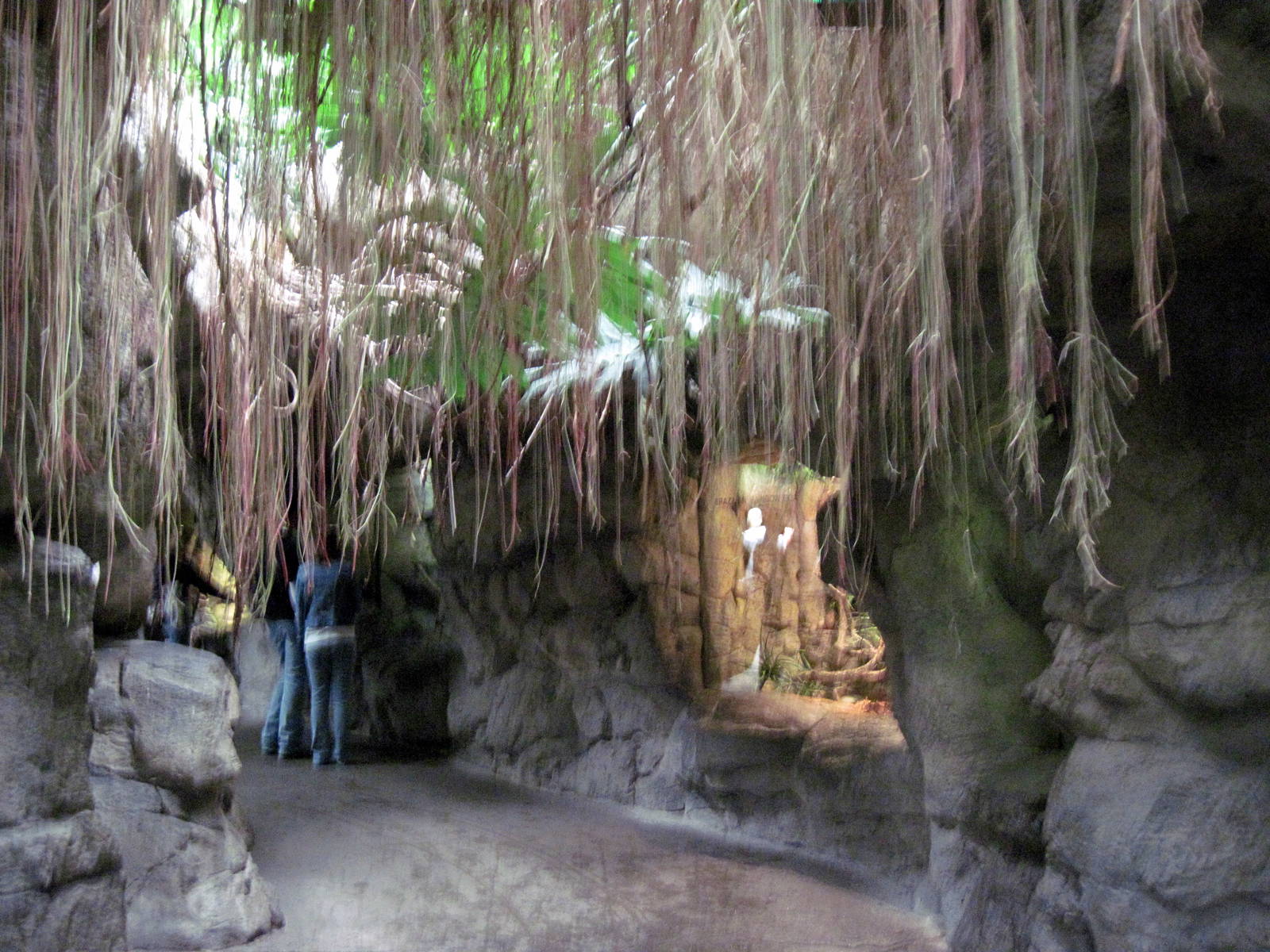 Lied Jungle-Cave