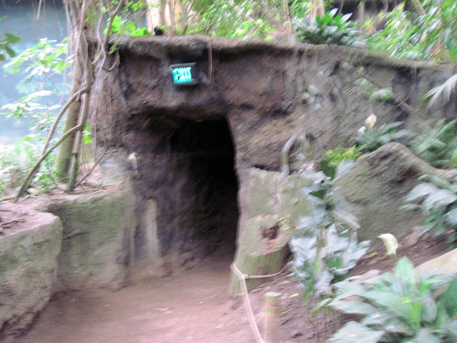 Lied Jungle-Cave