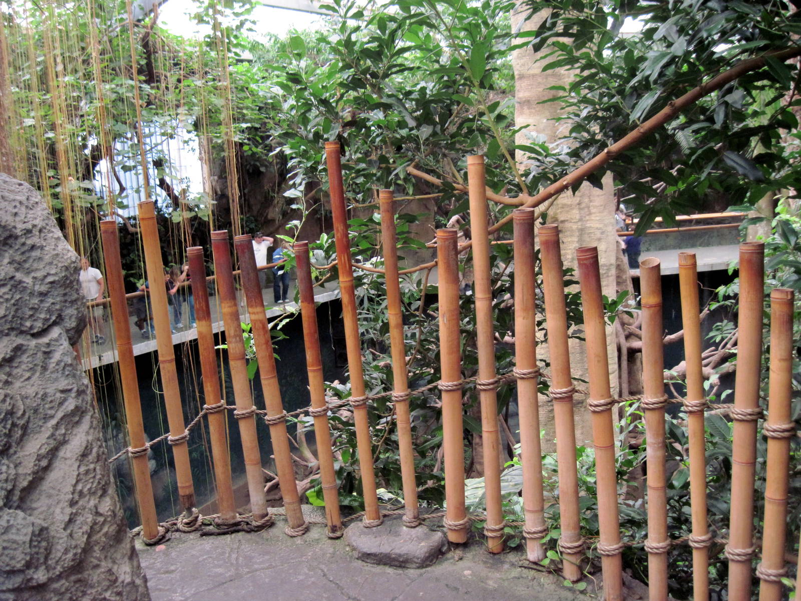 Lied Jungle-Danger Point