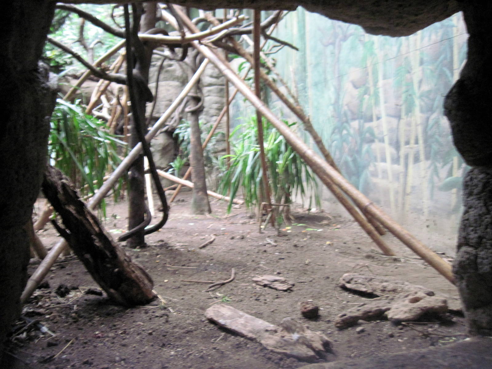 Lied Jungle-DeBrazza Monkey Exhibit