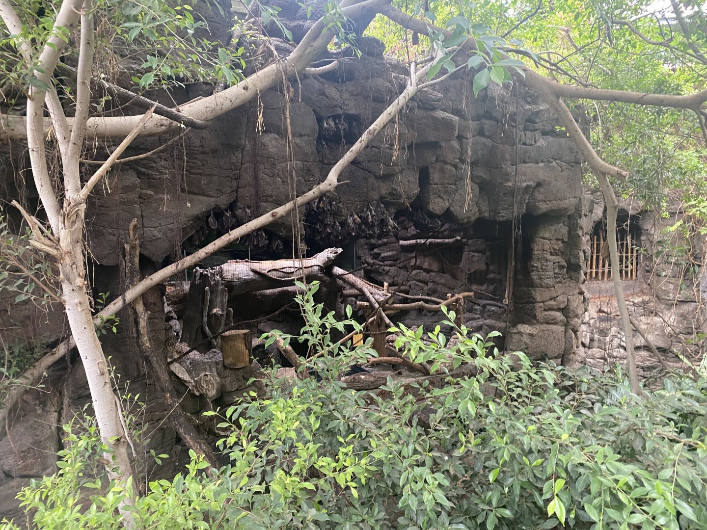 Lied Jungle - Eurasian Eagle Owl Exhibit