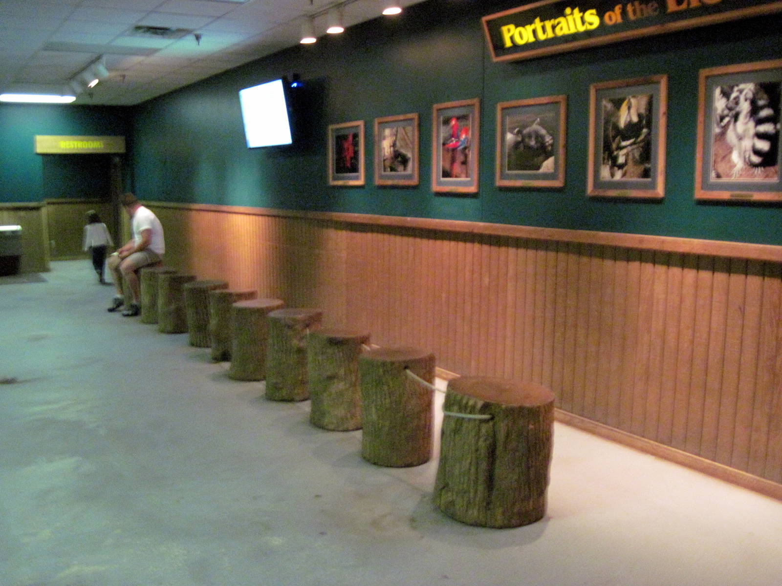 Lied Jungle-Forest Floor Waiting Room