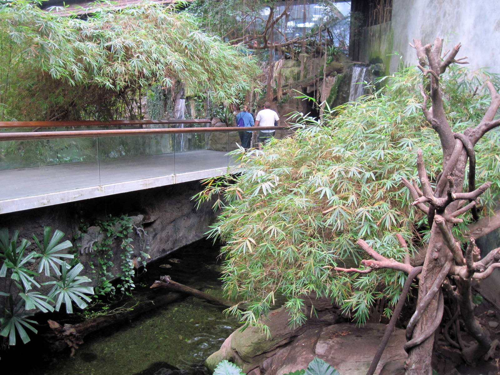 Lied Jungle-Lar Gibbon/Asian Small-clawed Otter Exhibit
