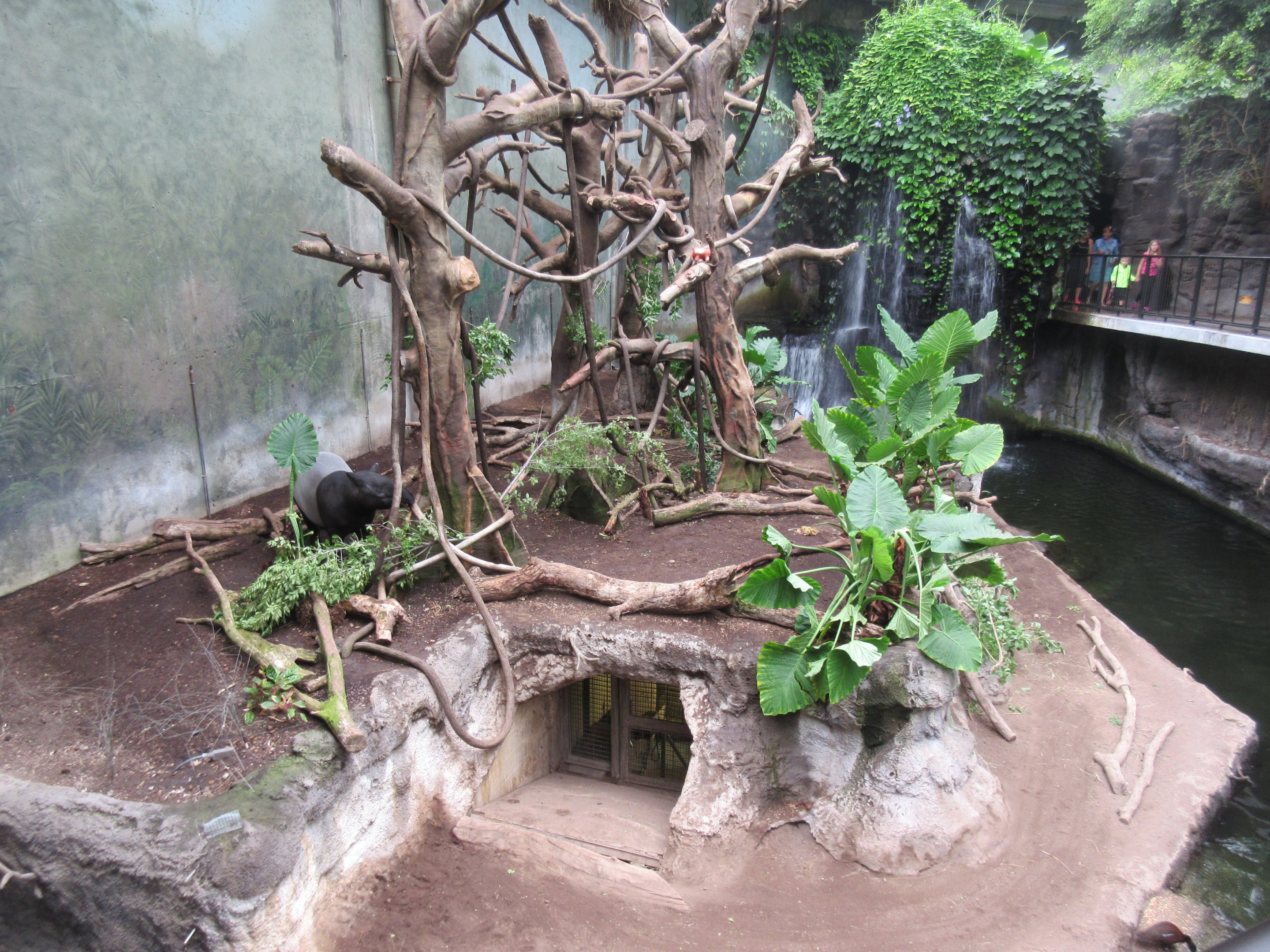 Lied Jungle - Malayan Tapir/Francois Langur Exhibit