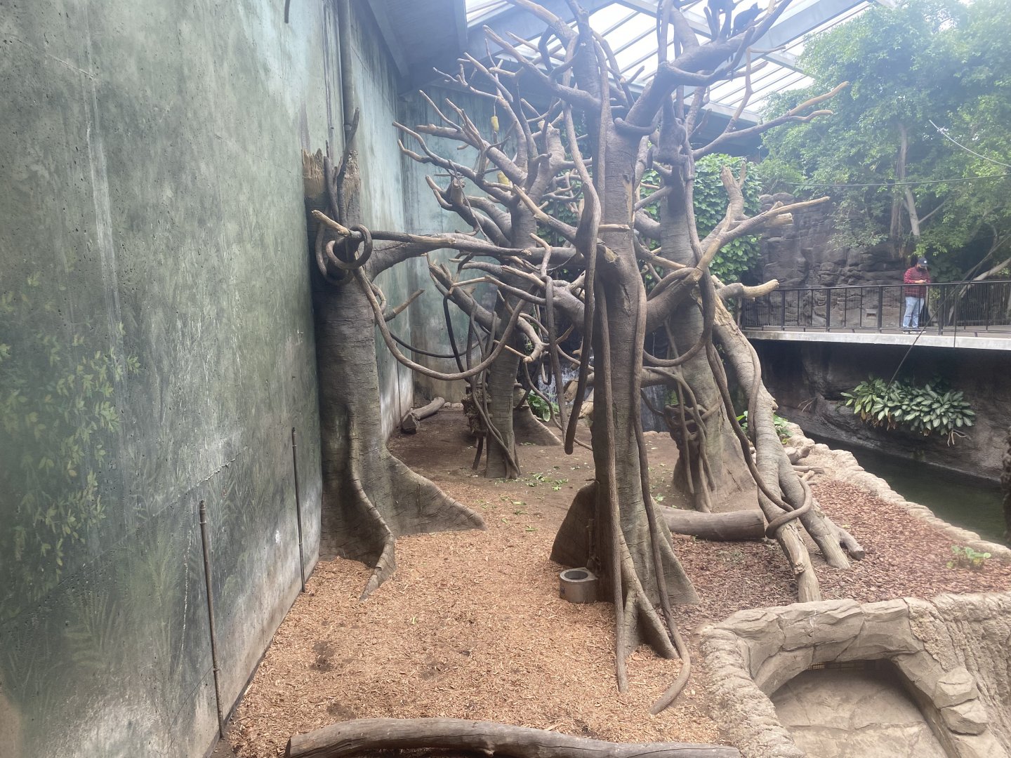 Lied Jungle - Malayan Tapir/ Francois’ Langur/ Müller’s Gray Gibbon Exhibit