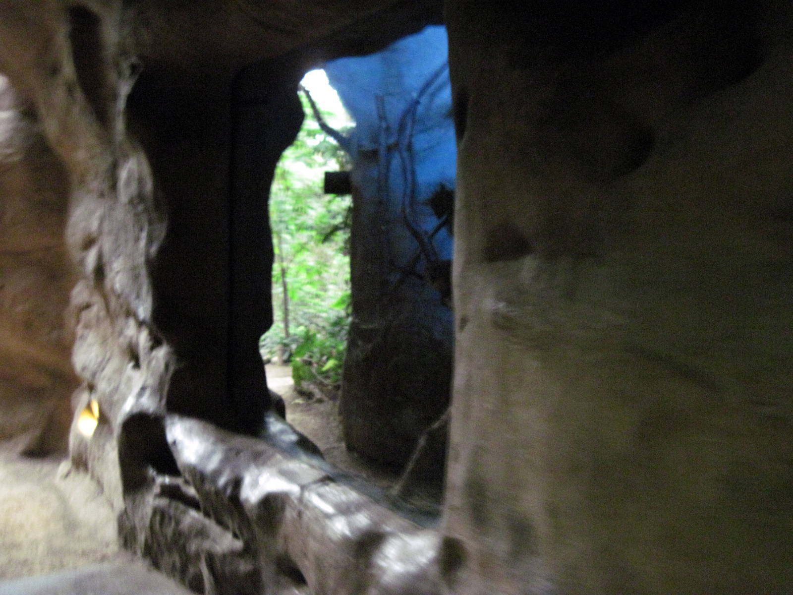 Lied Jungle-Night Monkey Exhibit