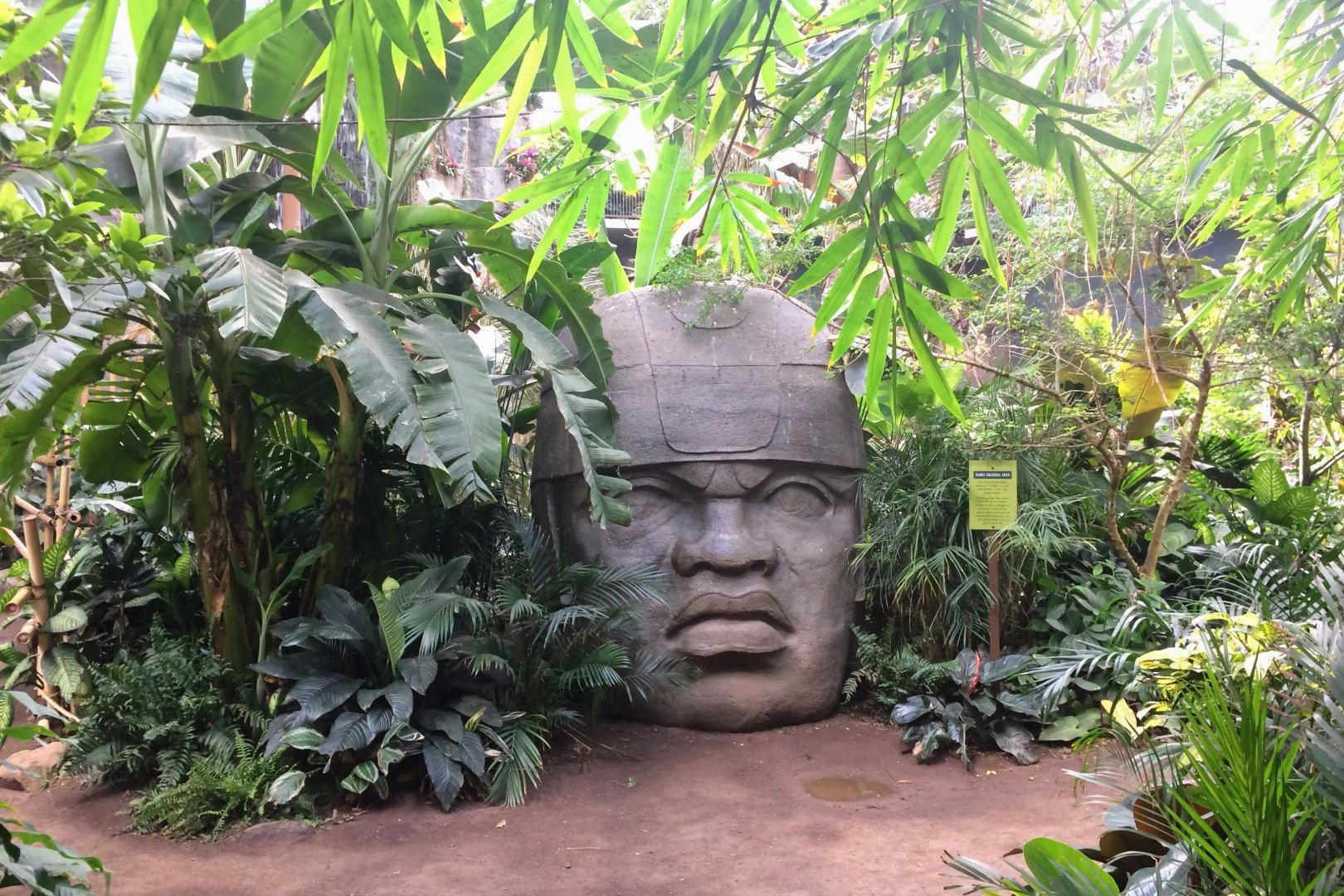 Lied Jungle - Olmec Head
