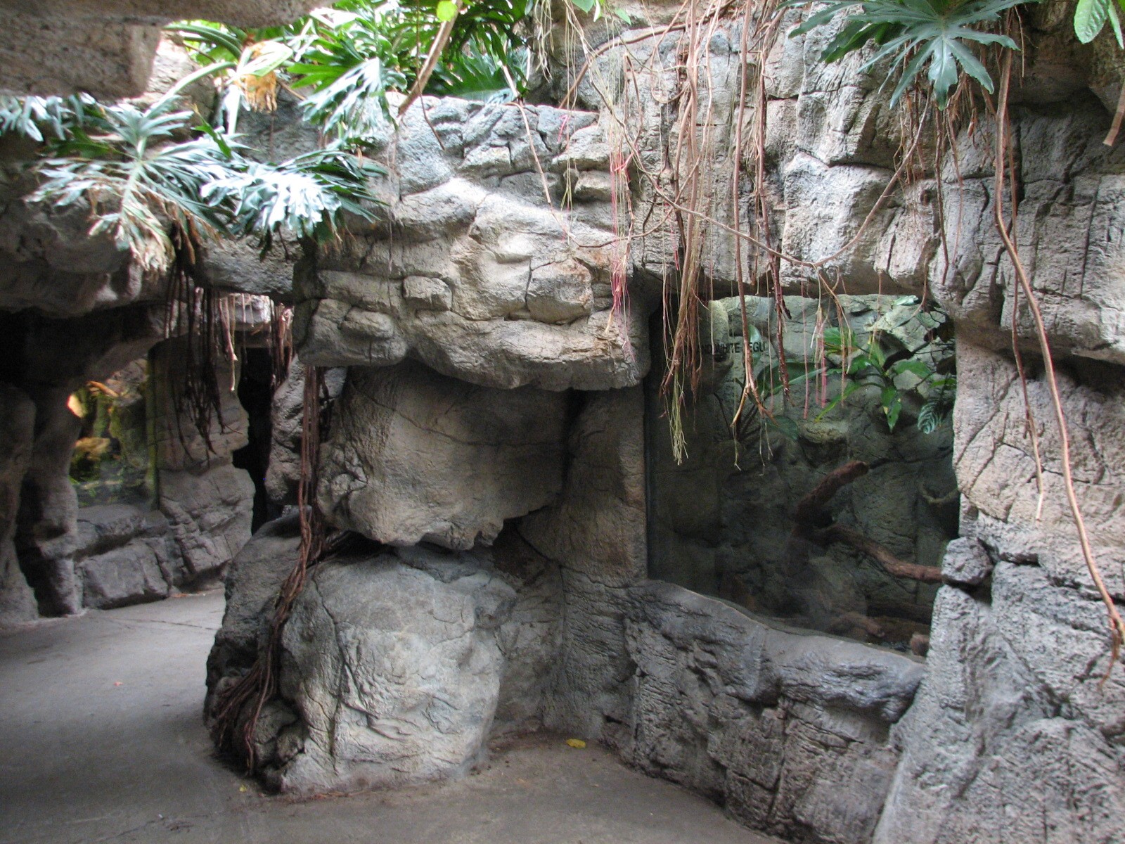 Lied Jungle - Reptile Exhibits