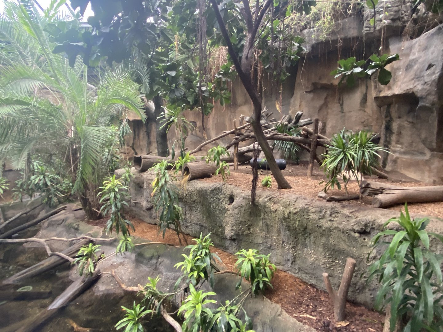 Lied Jungle - Spotted-Necked Otter Exhibit
