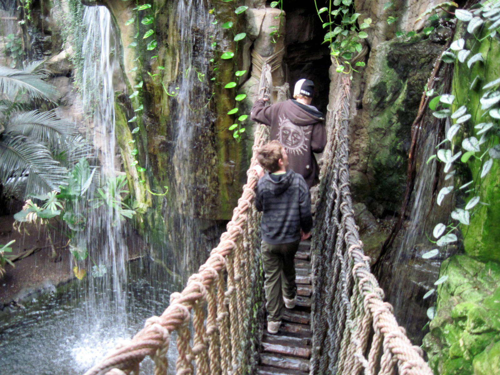 Lied Jungle-Swaying Bridge