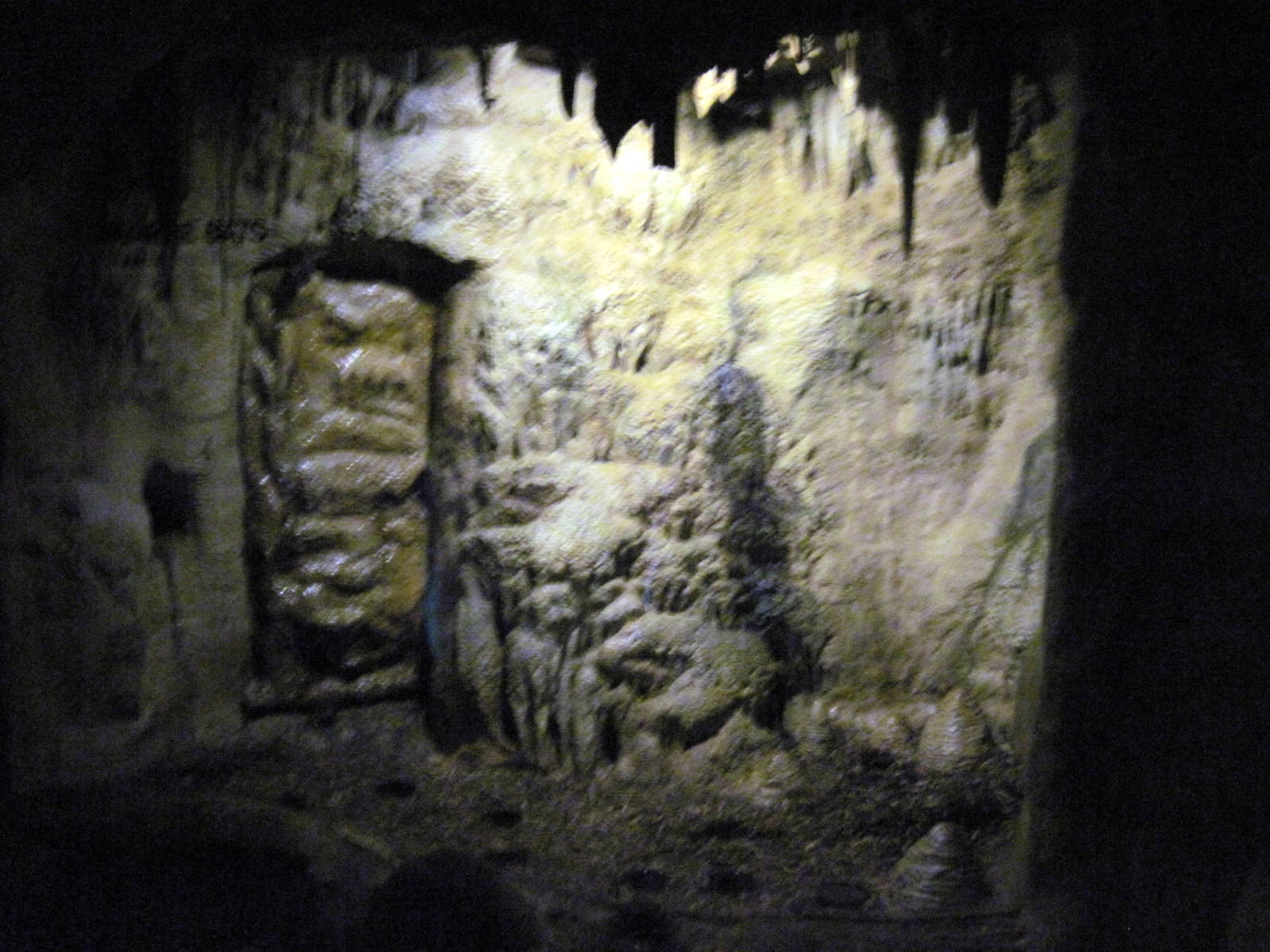 Lied Jungle-Vampire Bat Exhibit