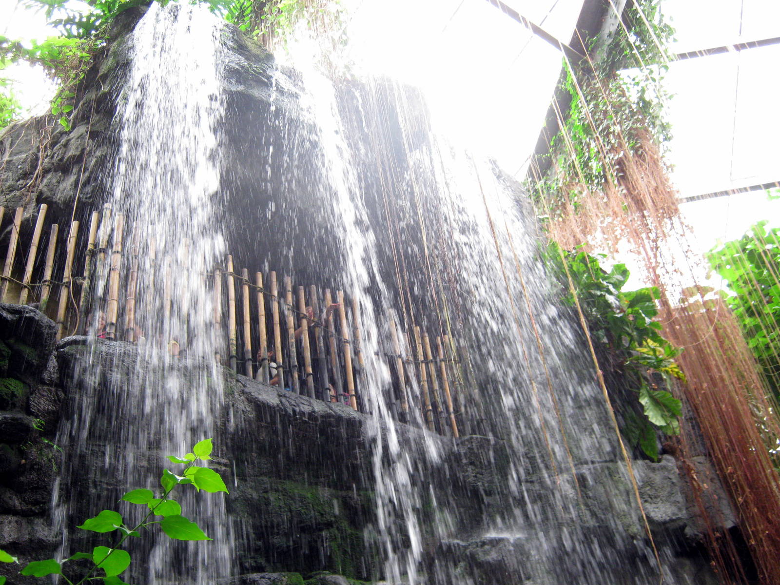 Lied Jungle-Waterfall