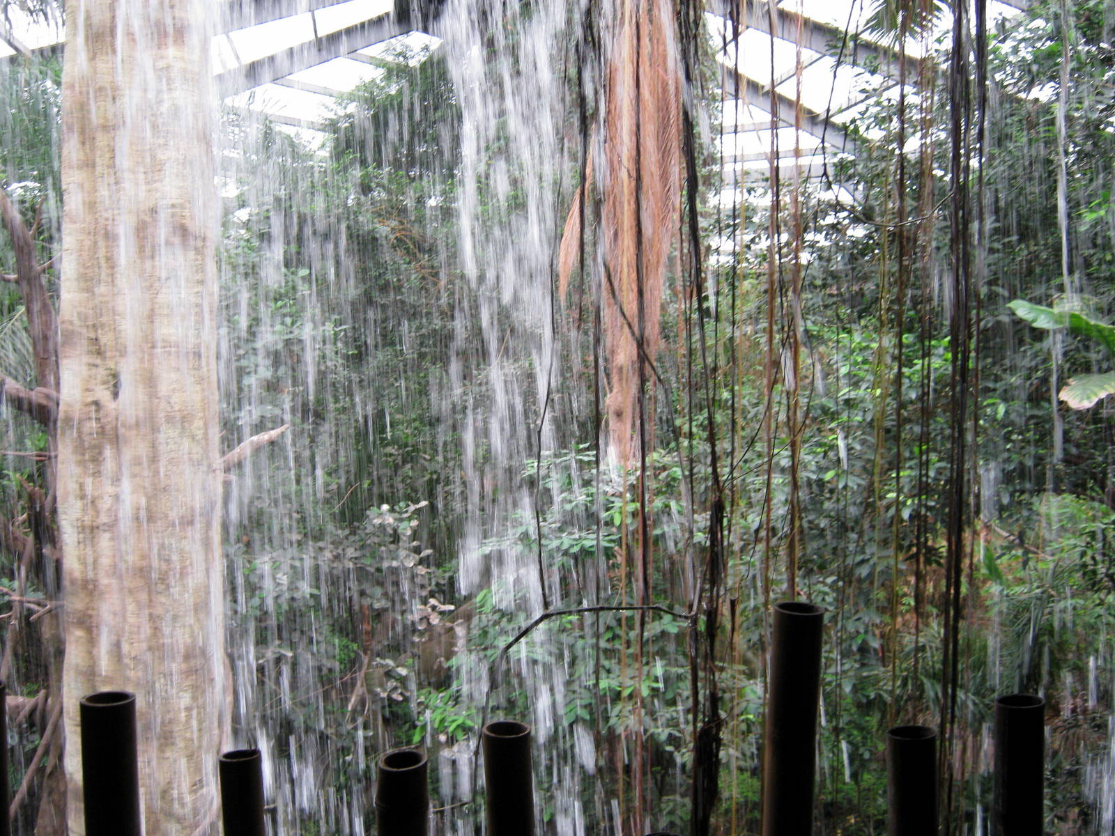 Lied Jungle-Waterfall