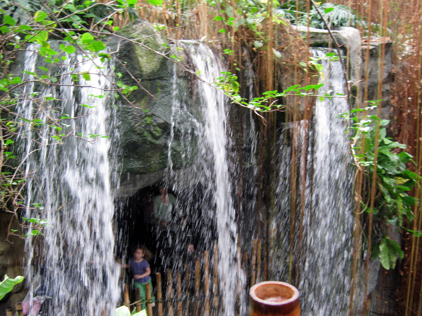 Lied Jungle-Waterfall