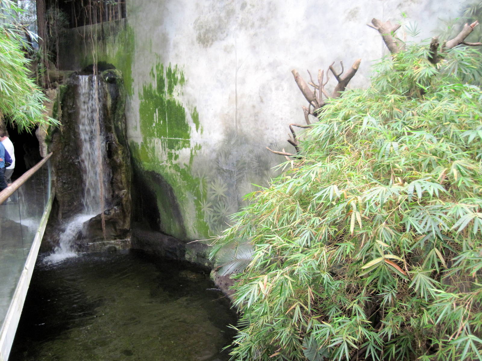 Lied Jungle-Waterfall