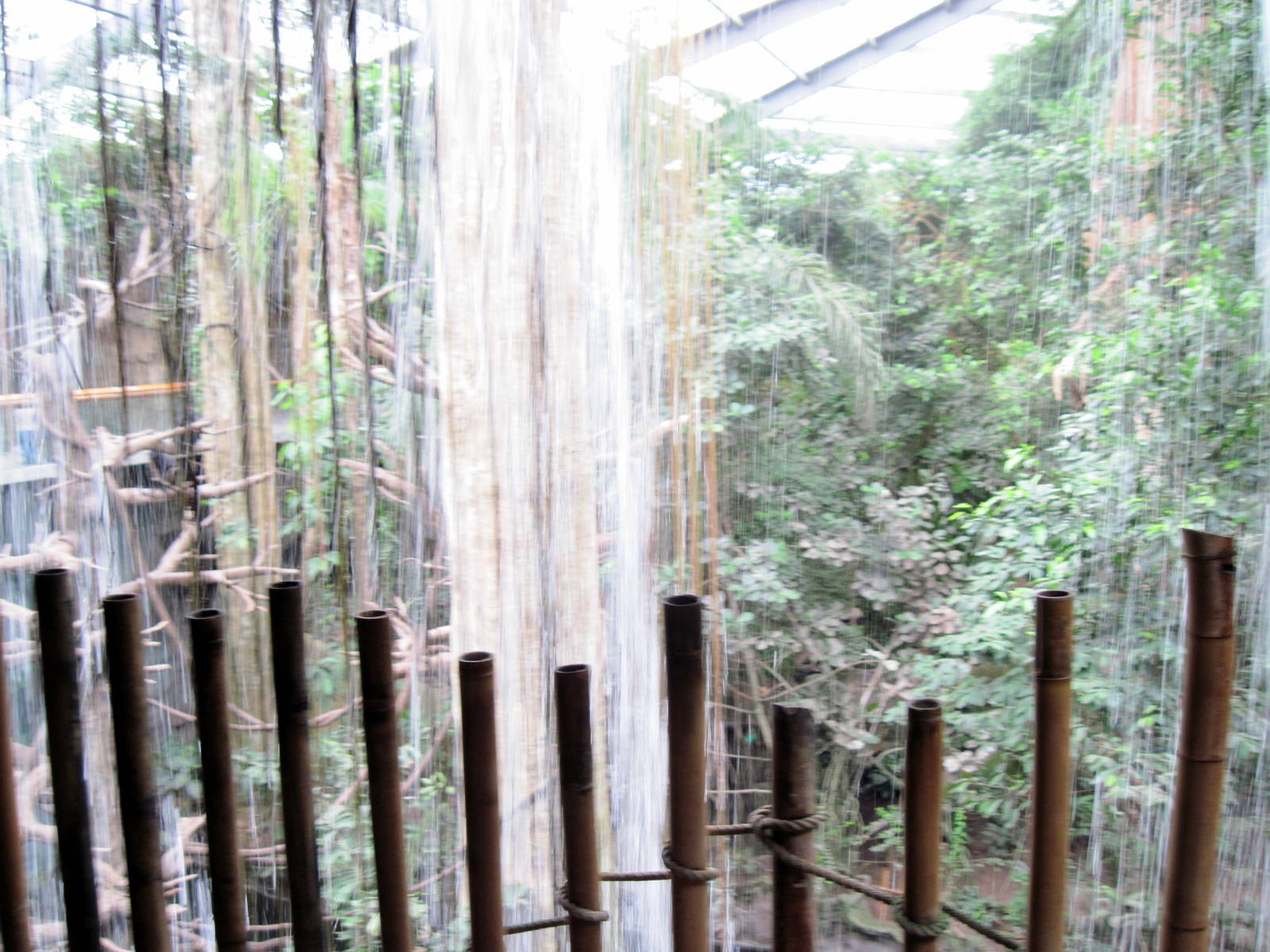 Lied Jungle-Waterfall