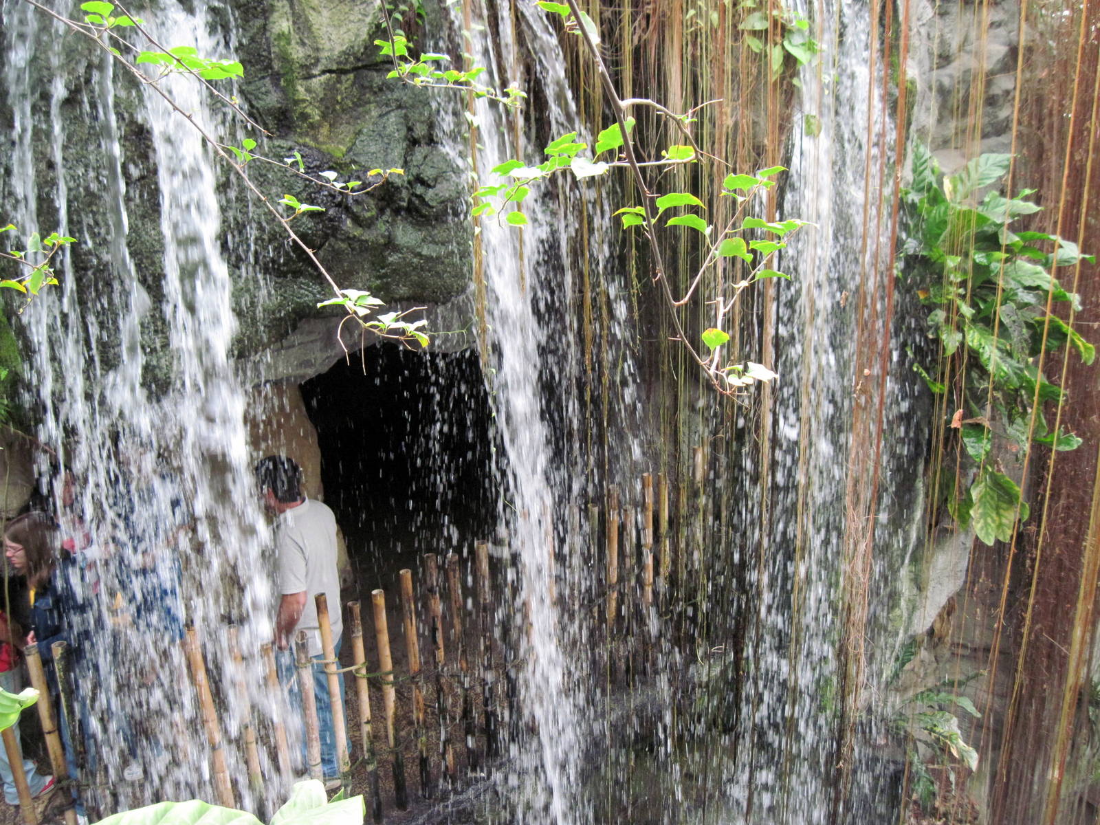 Lied Jungle-Waterfall