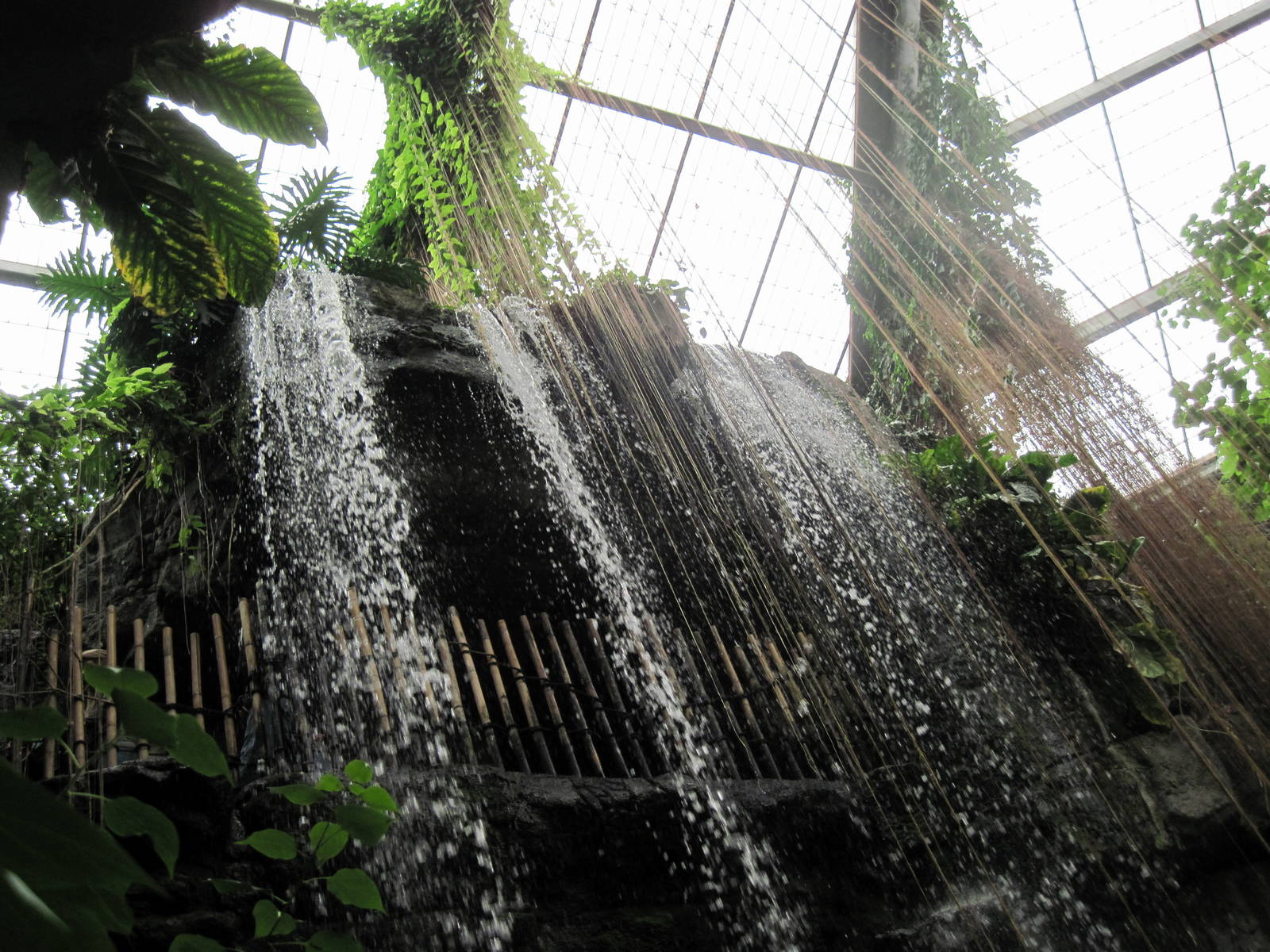 Lied Jungle-Waterfall