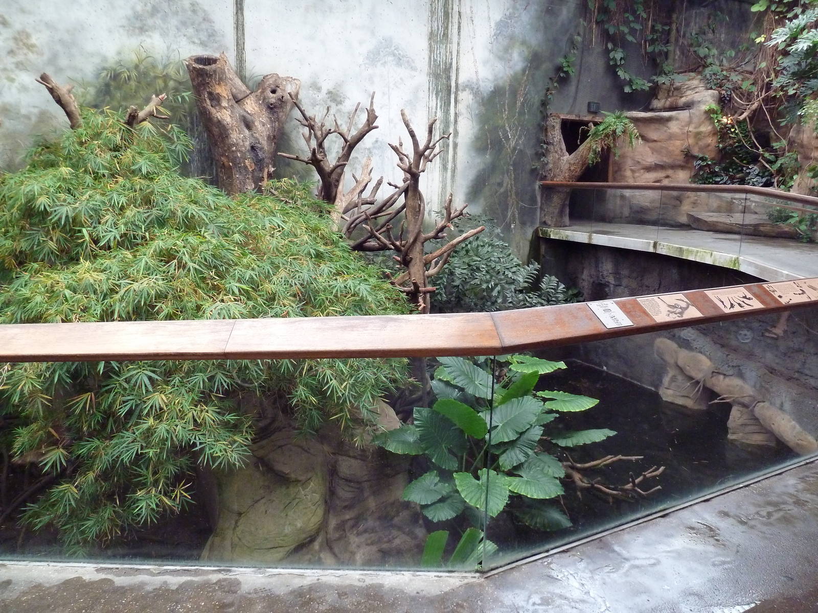 Lied Jungle - White-Handed Gibbon/Small-Clawed Otter Exhibit