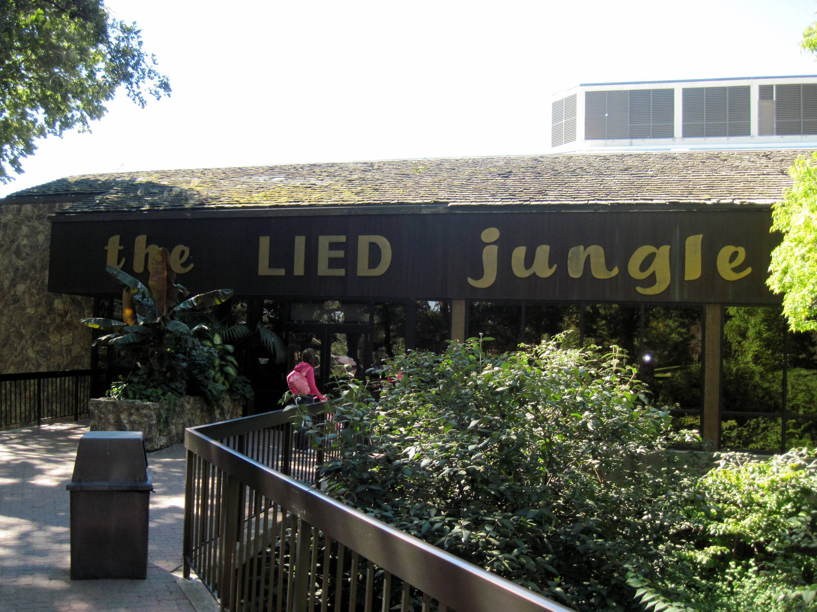Lied Jungle