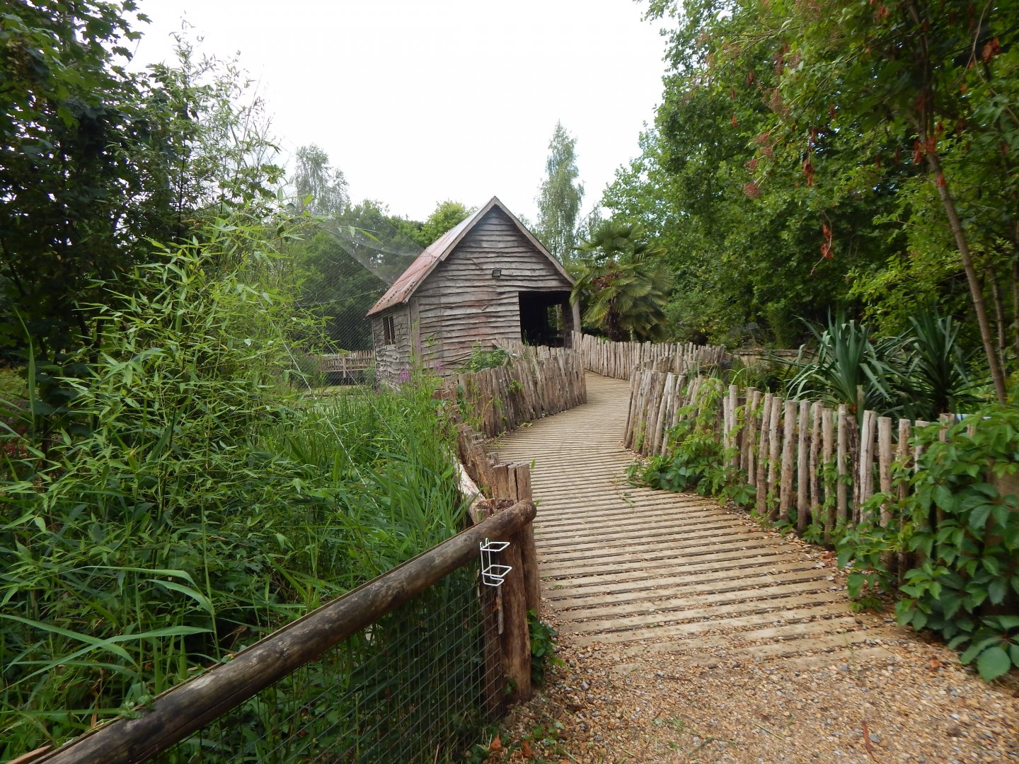 Life Among the Trees 150725