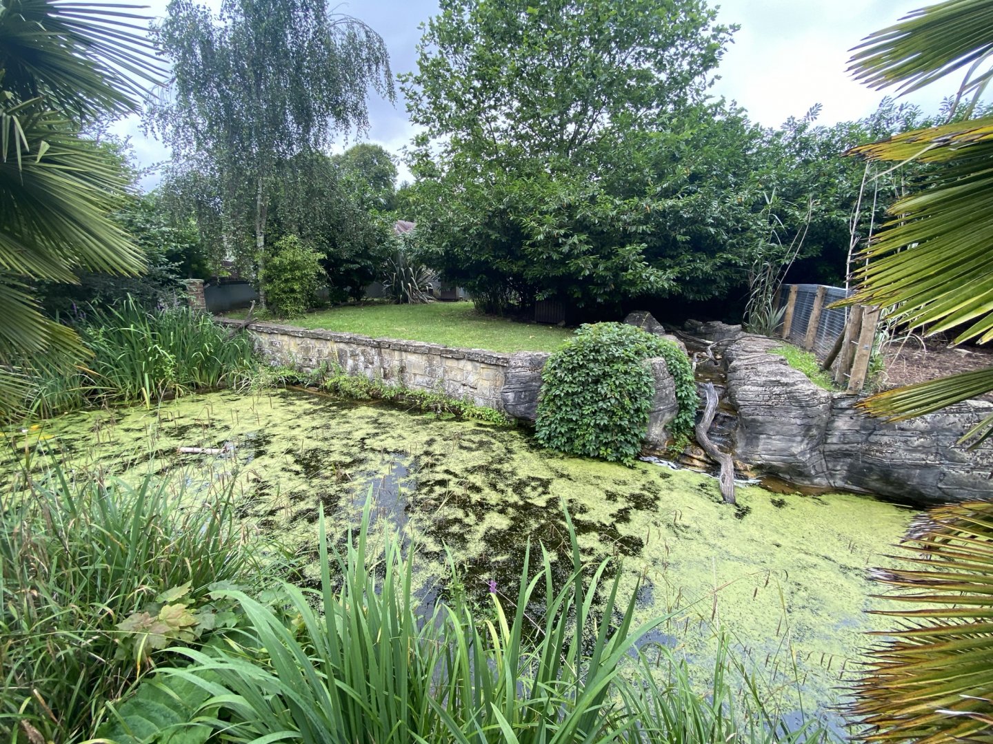 Life Among the Trees - Asian small-clawed otters exhibit 120821