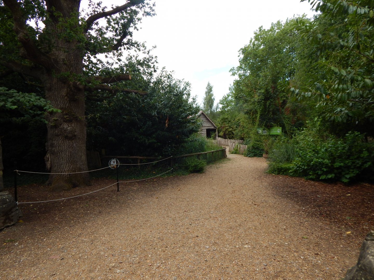 Life Among the Trees entrance 150725