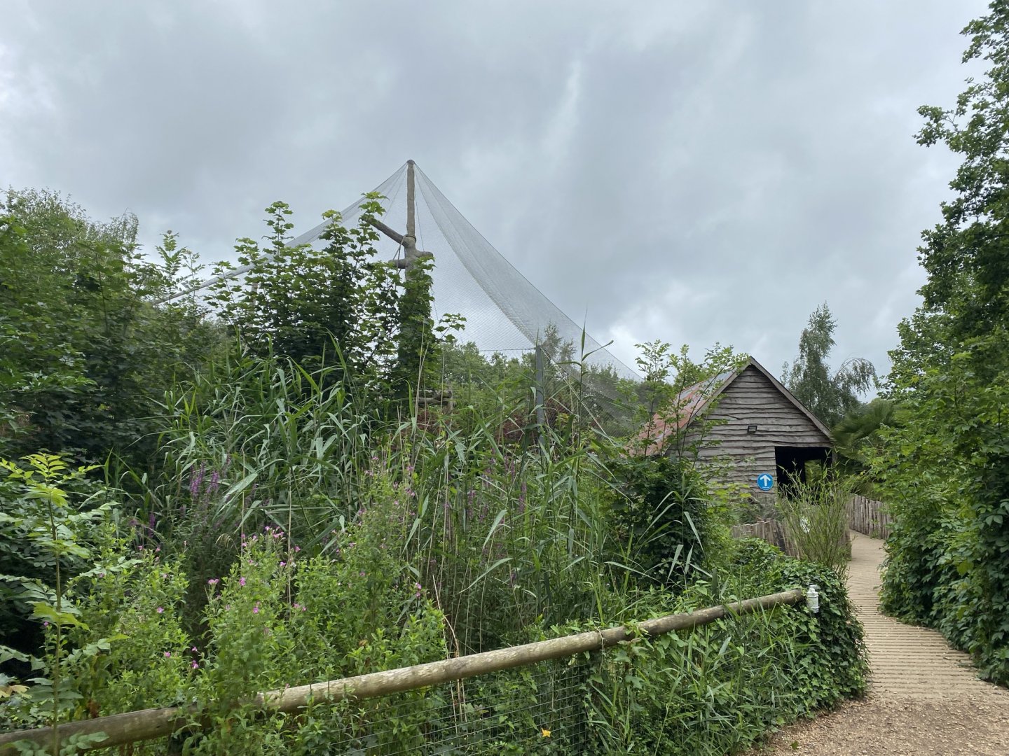 Life among the Trees - Siamang enclosure 120821