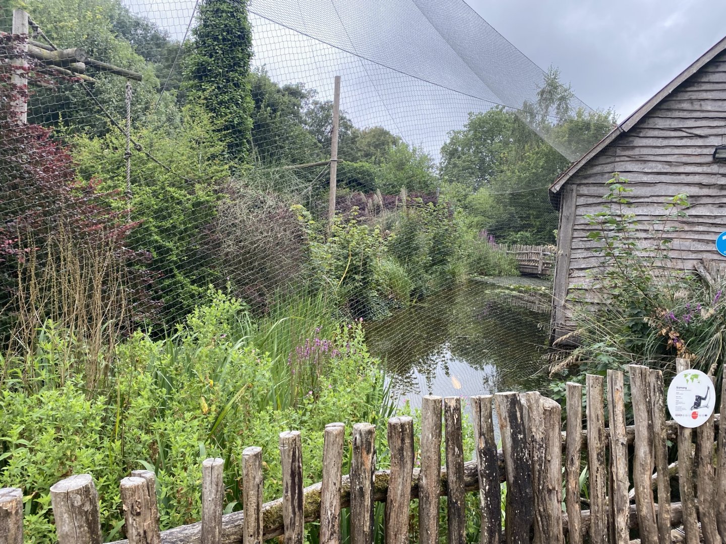Life among the Trees - Siamang enclosure 120821
