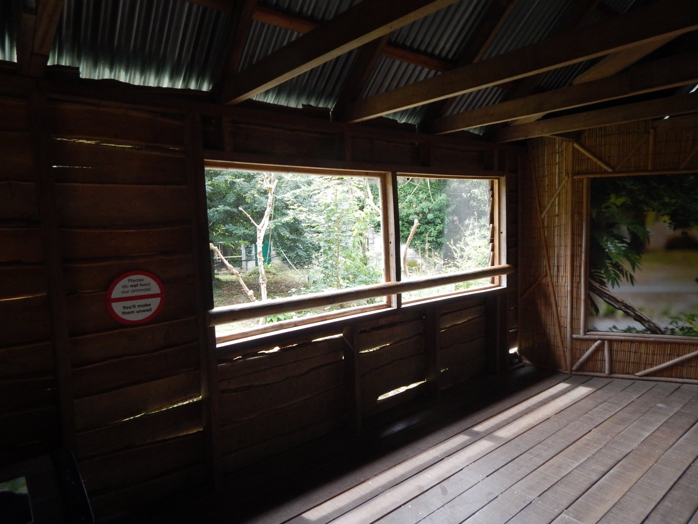 Life Among the Trees - Siamang enclosure 150725